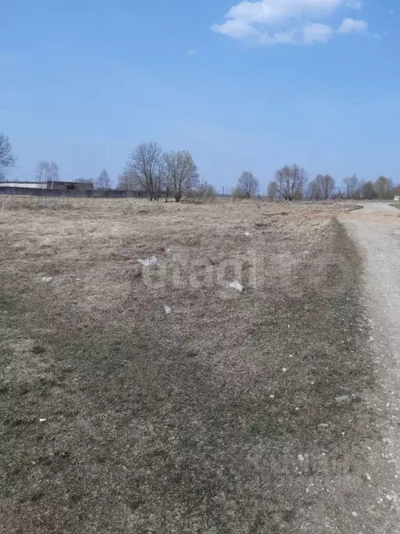 Участок в Калужская область, Бабынинский муниципальный округ, ... - Фото 1