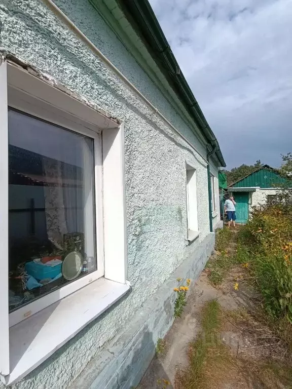 2-к кв. Воронежская область, Рамонское городское поселение, пос. Бор ... - Фото 2