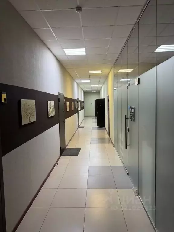 Офис в Белгородская область, Белгород ул. Пугачева, 7 (66 м) - Фото 2