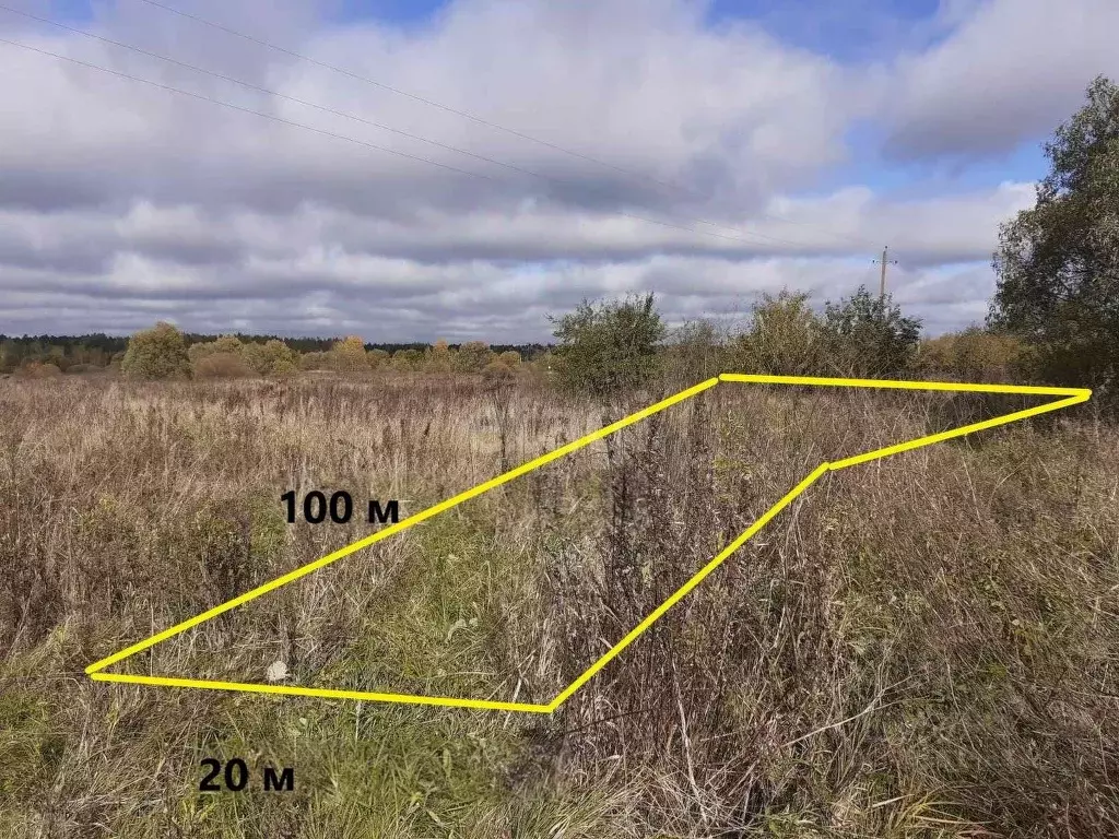 Участок в Брянская область, Брянский район, с. Журиничи Партизанская ... - Фото 1