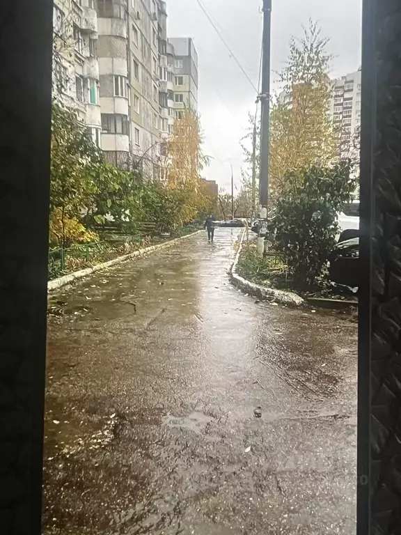 3-к кв. Самарская область, Самара ул. Губанова, 34 (69.4 м) - Фото 2