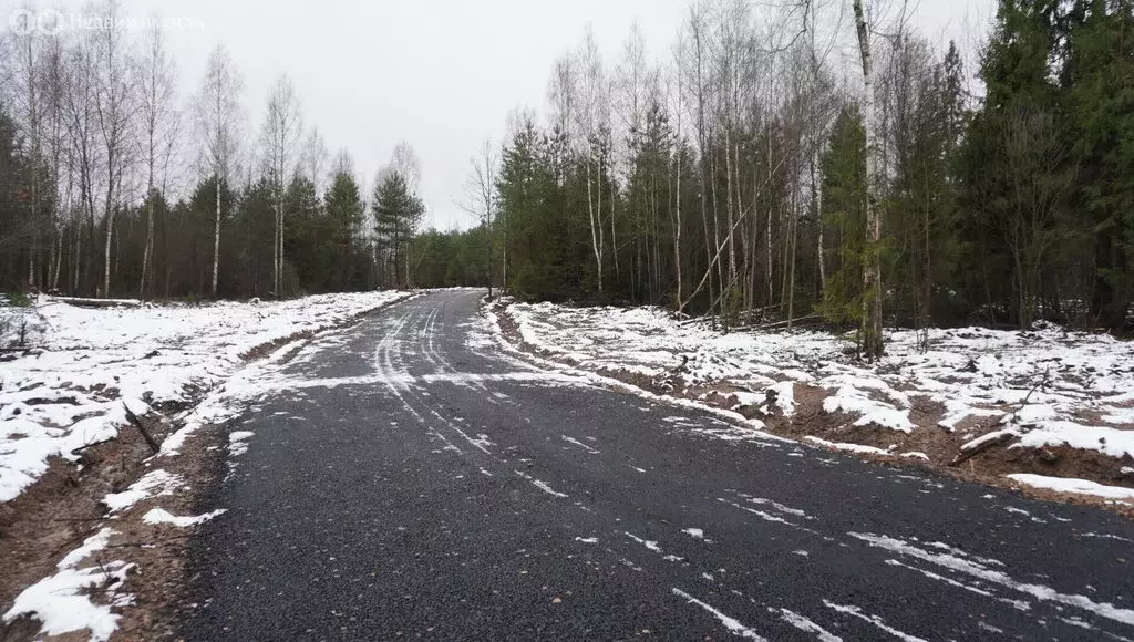 Участок в Московская область, городской округ Истра, деревня ... - Фото 1