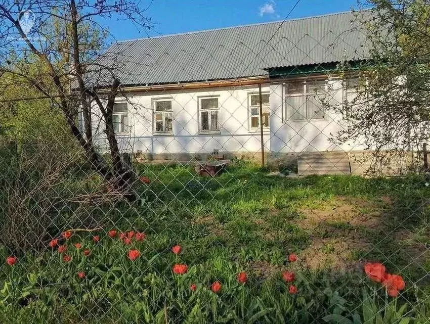 Дом в Рязанская область, Кораблинский муниципальный округ, с. Ключ ул. ... - Фото 1
