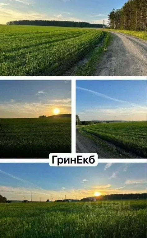 Участок в Свердловская область, Сысертский муниципальный округ, Грин ... - Фото 1