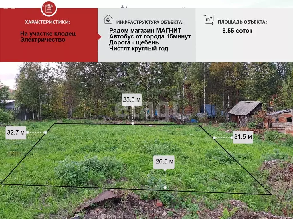 Участок в Архангельская область, Приморский муниципальный округ, СНТ ... - Фото 2