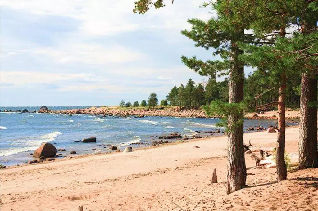 Участок в Санкт-Петербург пос. Репино, Курортная ул., 7АБ (23.9 сот.) - Фото 2