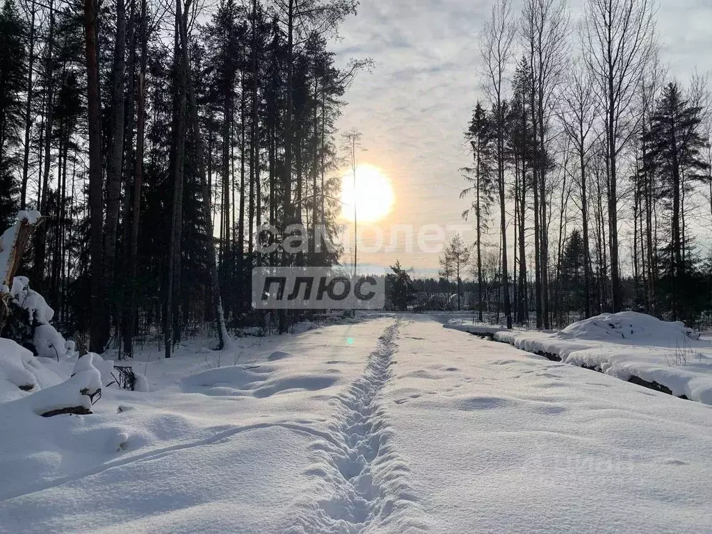 Участок в Ленинградская область, Тосно г. Тосненский район, Тосненское ... - Фото 1