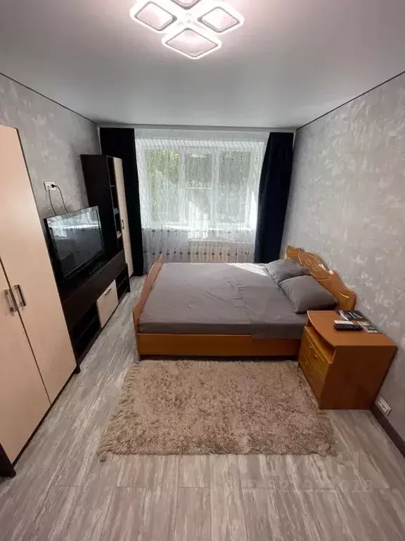 1-к кв. Московская область, Зарайск Зарайск муниципальный округ, 1-й ... - Фото 2