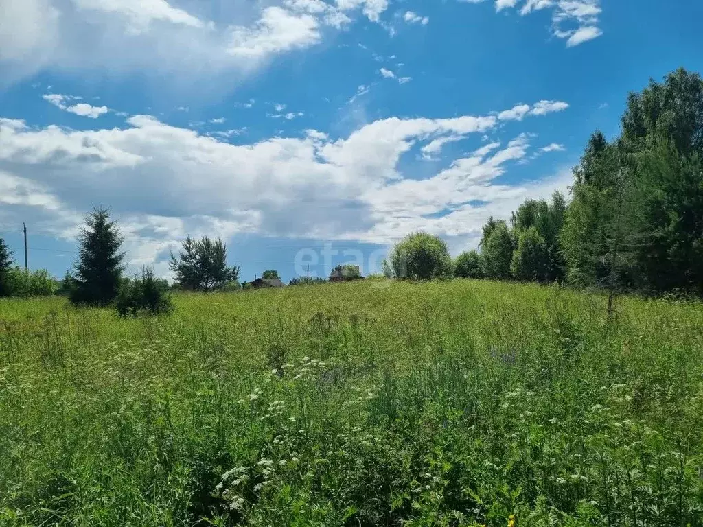 Участок в Костромская область, Красносельский район, Чапаевское с/пос, ... - Фото 1