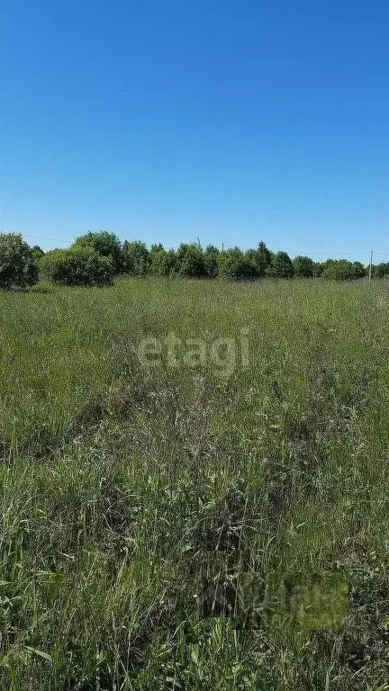 Участок в Калужская область, Калуга городской округ, д. Матюнино  ... - Фото 0