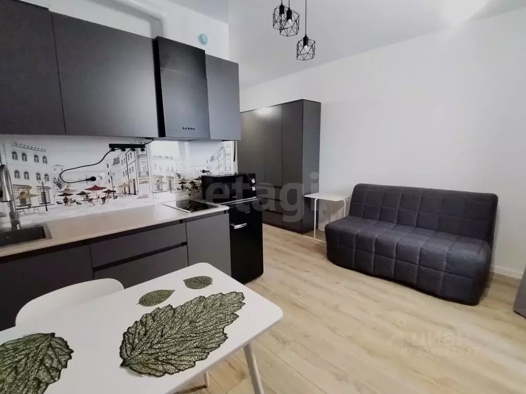 Студия Свердловская область, Екатеринбург ул. Крауля, 107/2 (20.2 м) - Фото 1