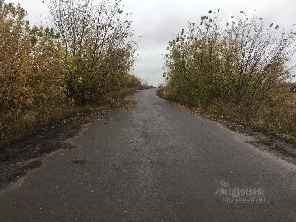 Участок в Тамбовская область, Мичуринский муниципальный округ, с. ... - Фото 1