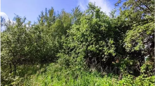 Участок в Московская область, Серпухов городской округ, д. Родионовка  ... - Фото 0