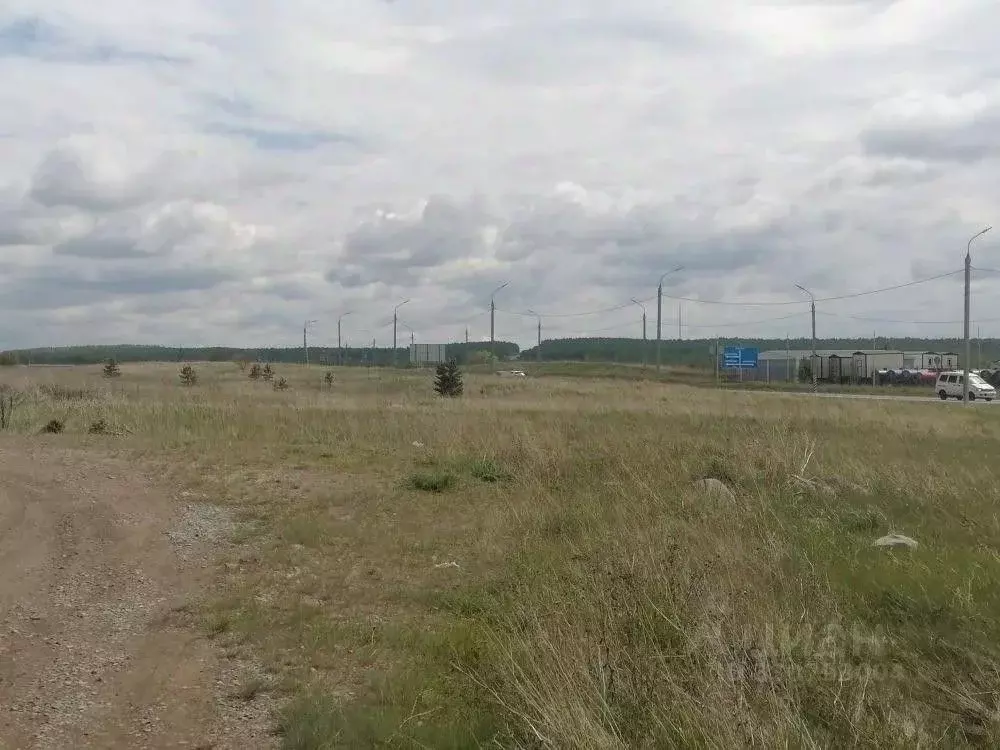 Участок в Иркутская область, Черемховский район, Новогромовское ... - Фото 2