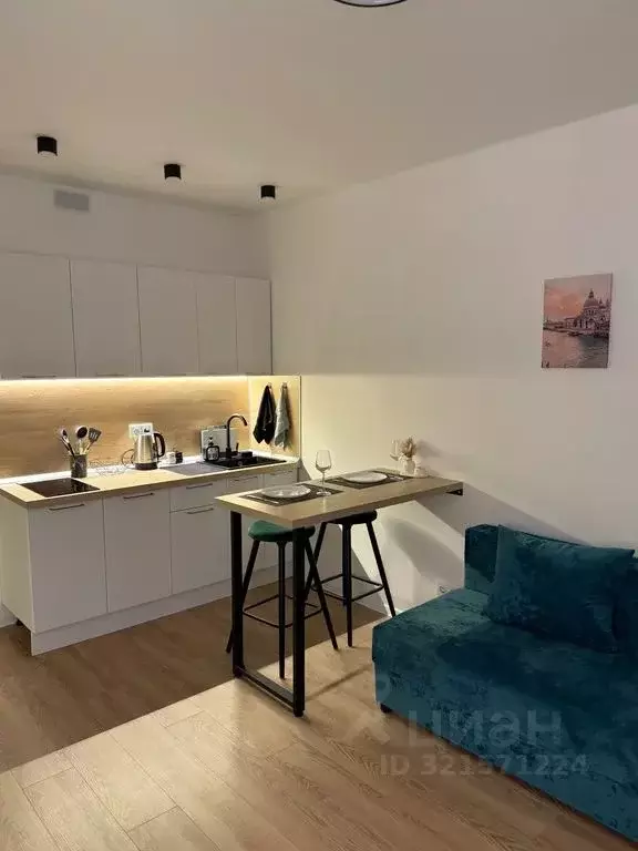 Студия Московская область, Котельники Парковый мкр, 14 (20.0 м) - Фото 1