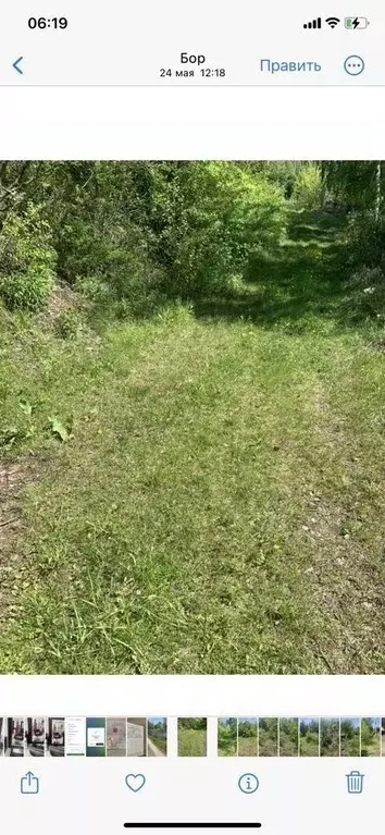 Участок в Нижегородская область, Бор Сельхозтехника СНТ,  (4.0 сот.) - Фото 0