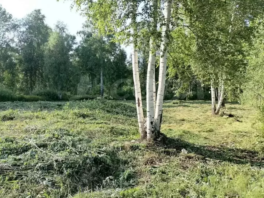 Участок в Тюменская область, Нижнетавдинский муниципальный округ, СНТ ... - Фото 0