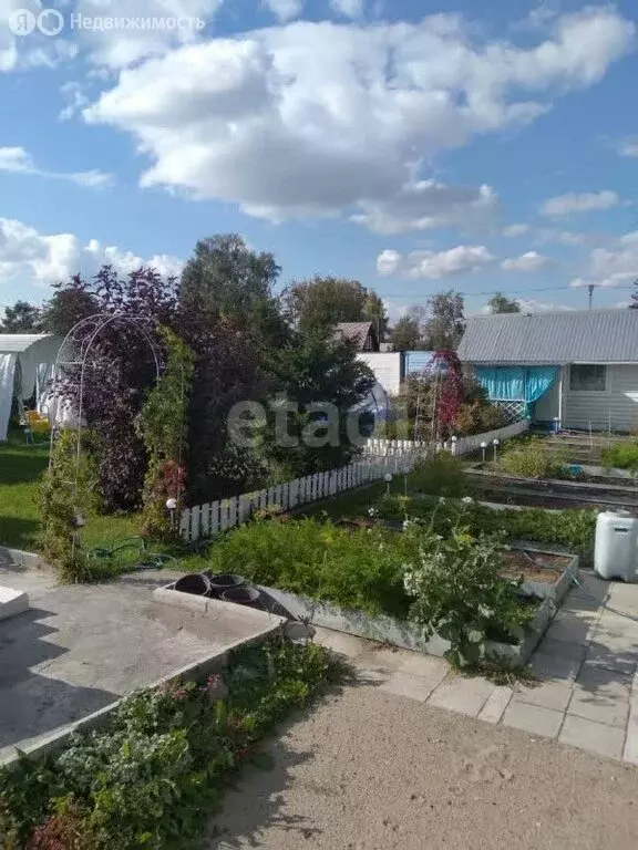 Дом в Новосибирск, садовое товарищество Берёзовая Роща, 347 (28 м) - Фото 0