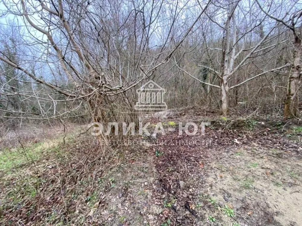 Участок в Краснодарский край, Туапсинский муниципальный округ, с. ... - Фото 1