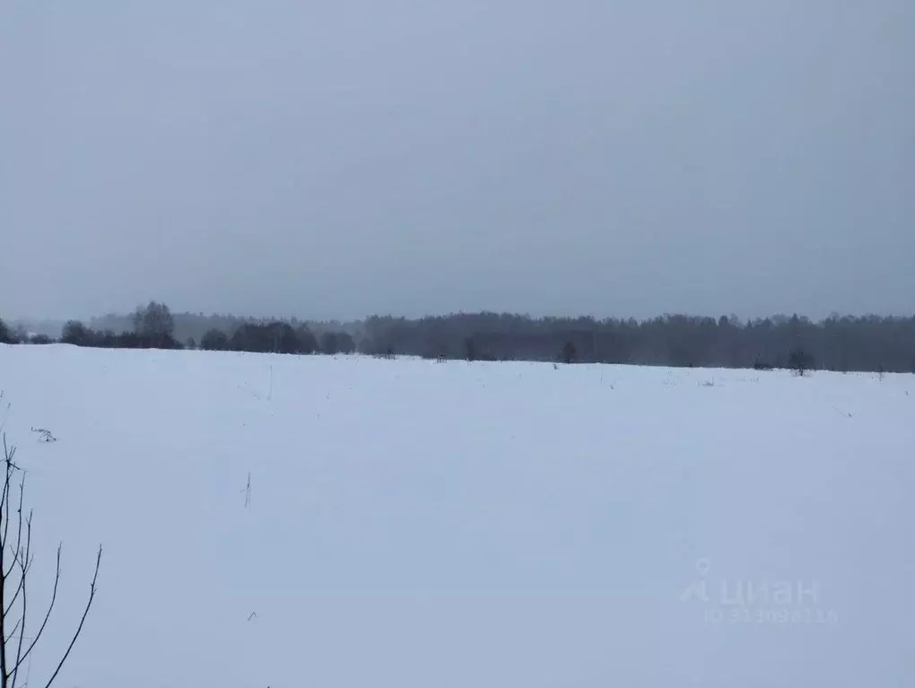 Участок в Московская область, Шаховская муниципальный округ, с. Белая ... - Фото 0