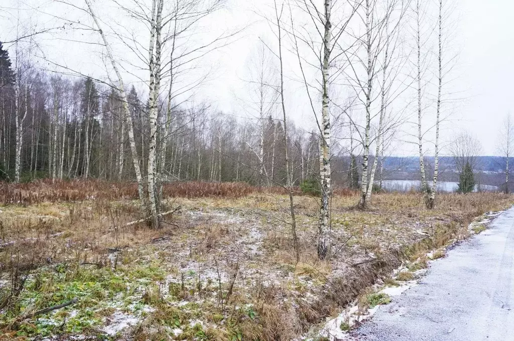 Участок в Московская область, Дмитровский муниципальный округ, Лес кп  ... - Фото 0