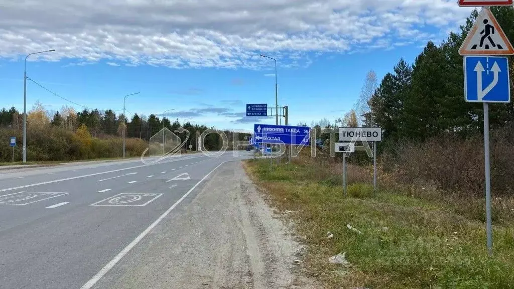 Участок в Тюменская область, Нижнетавдинский район, с. Тюнево  (6.0 ... - Фото 0