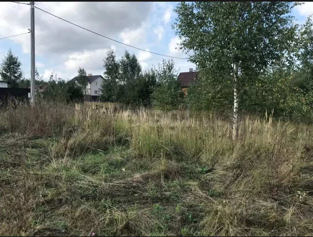 Участок в Калужская область, Дзержинский муниципальный округ, сельское ... - Фото 2