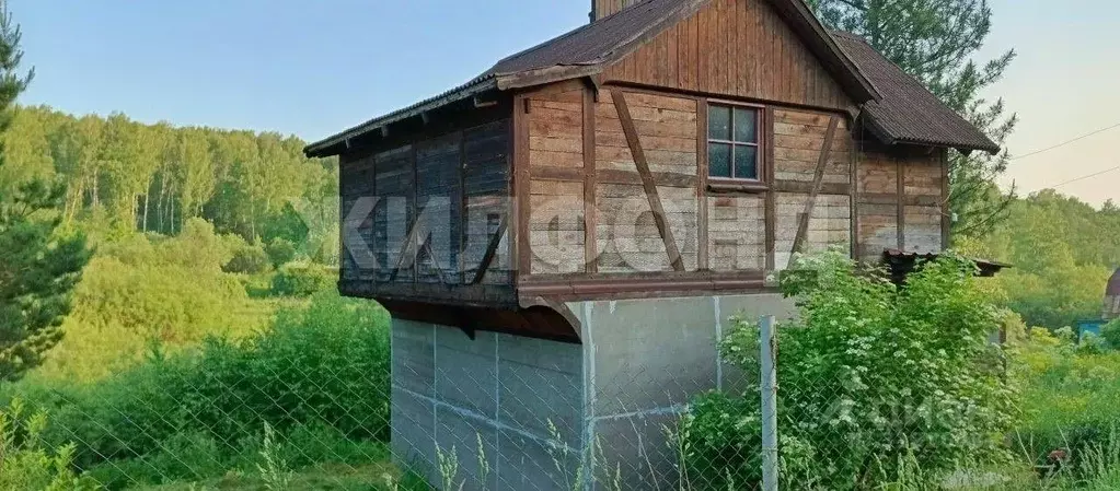 Дом в Новосибирская область, Новосибирский район, Раздольненский ... - Фото 1