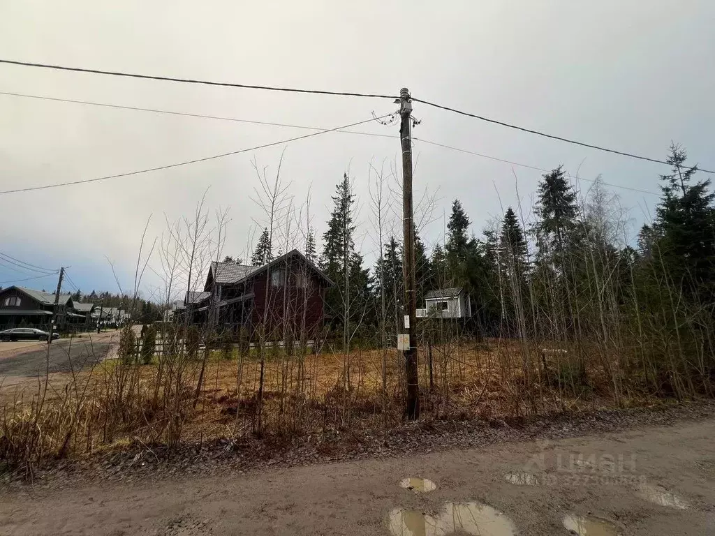 Участок в Ленинградская область, Приозерский район, Сосновское с/пос, ... - Фото 2