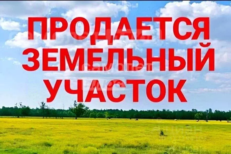 Участок, 3 сот., поселения (ижс) - Фото 0