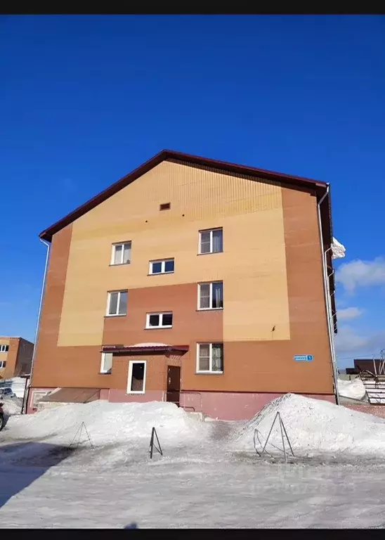 Склад в Новосибирская область, с. Новолуговое, Солнечный мкр 1 (27 м) - Фото 1