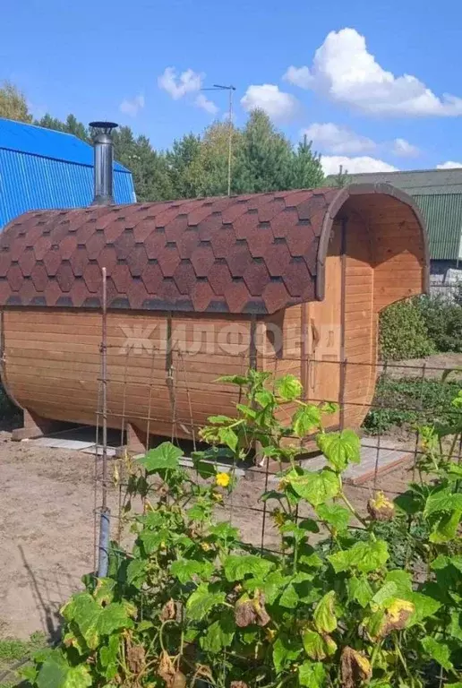 Дом в Новосибирская область, Новосибирск Текстильщик СНТ,  (37 м) - Фото 2