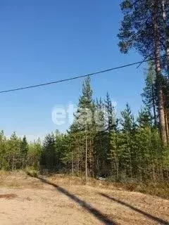 Участок в Ханты-Мансийский АО, Сургутского муниципального района тер., ... - Фото 0