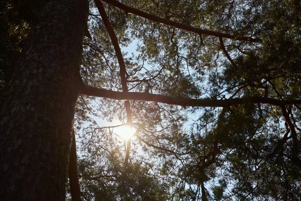 Участок в Ленинградская область, Выборгский район, Первомайское с/пос, ... - Фото 1