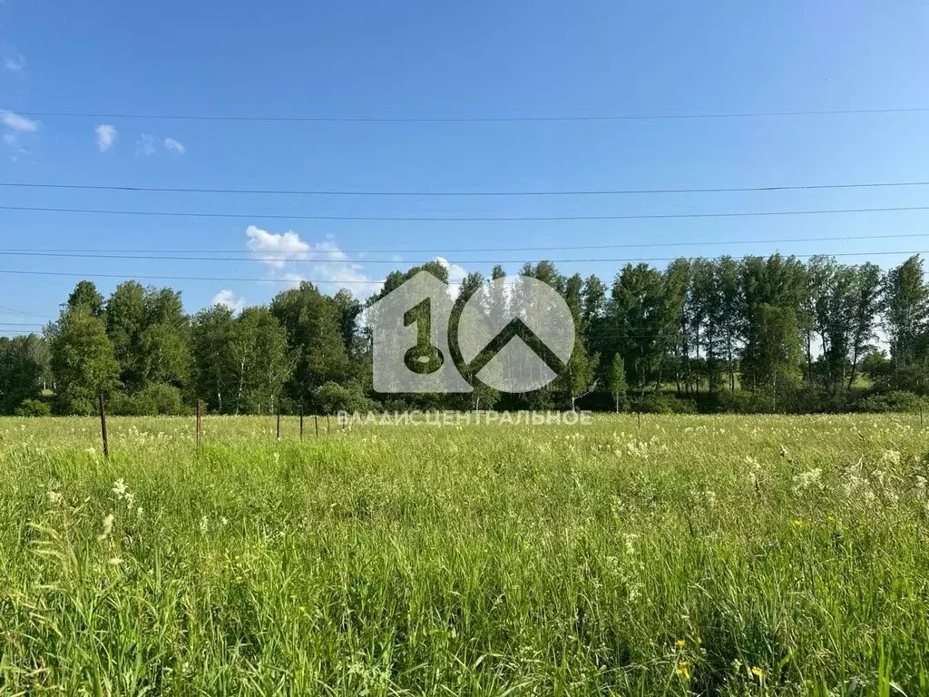 Участок в Новосибирская область, Новосибирский район, Станционный ... - Фото 2