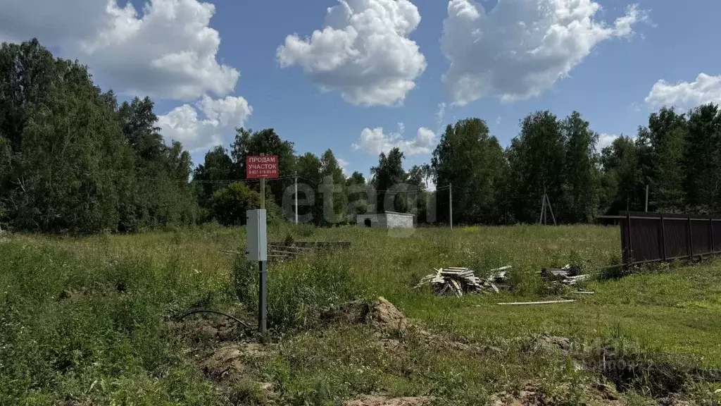 Участок в Новосибирская область, Мошковский район, Барлакский ... - Фото 1