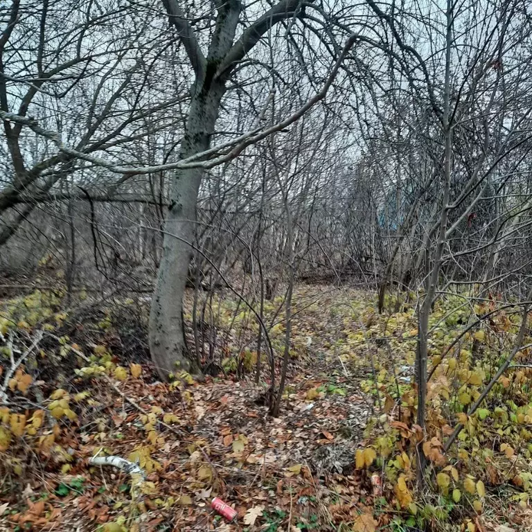 Участок в Московская область, Ступино городской округ, Жилево пгт  ... - Фото 1
