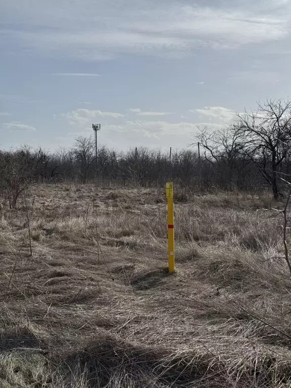 Участок в Краснодарский край, Лабинск Кавказ садоводческое ... - Фото 2