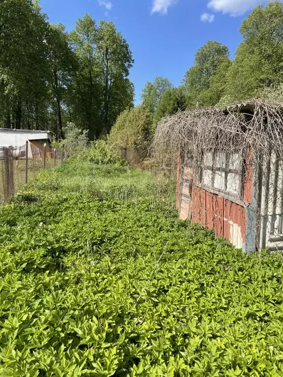 Участок в Московская область, Чехов городской округ, д. Алферово  (4.0 ... - Фото 1