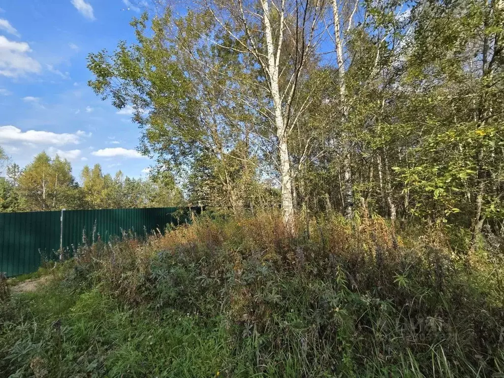 Участок в Московская область, Краснозаводск Сергиево-Посадский район, ... - Фото 2