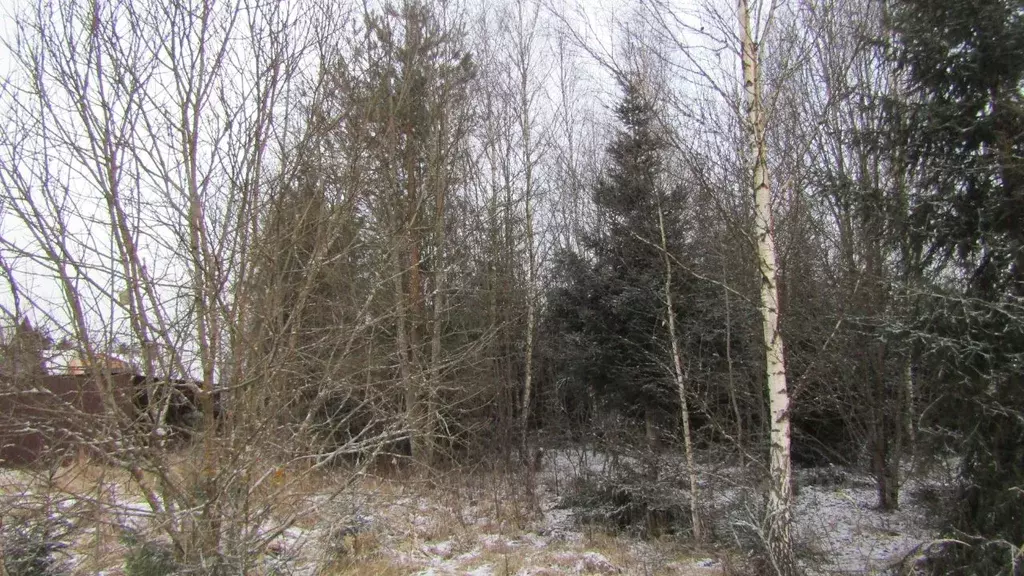 Участок в Московская область, Рузский муниципальный округ, д. Лобково  ... - Фото 1