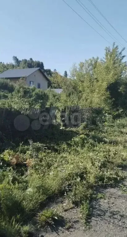 Участок в Алтайский край, Красногорский район, пос. Долина Свободы ул. ... - Фото 1