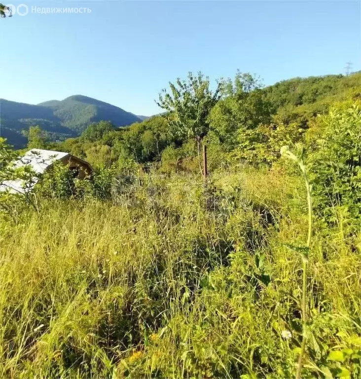 Участок в Краснодарский край, Туапсинский муниципальный округ, СТ ... - Фото 1