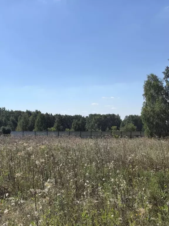 Участок в Омская область, Омск ул. Видная (8.1 сот.) - Фото 2