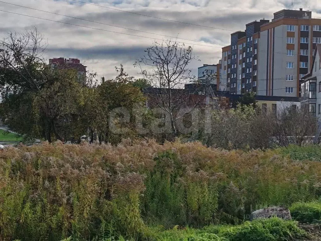 Участок в Калининградская область, Гурьевск  (8.4 сот.) - Фото 2