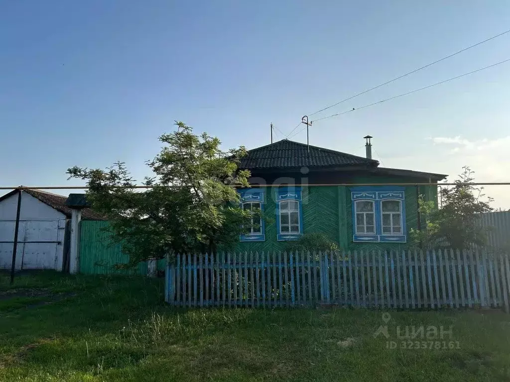 Дом в Курганская область, Каргапольский муниципальный округ, с. Чаши ... - Фото 1