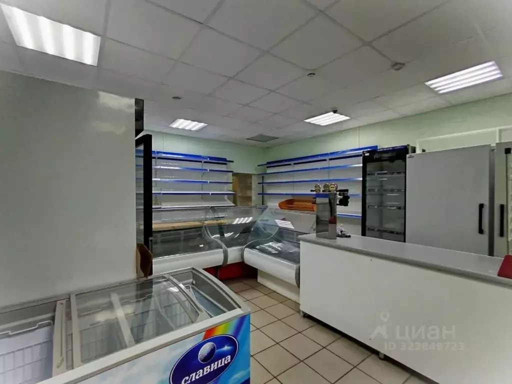 Помещение свободного назначения в Самарская область, Самара пос. ... - Фото 1