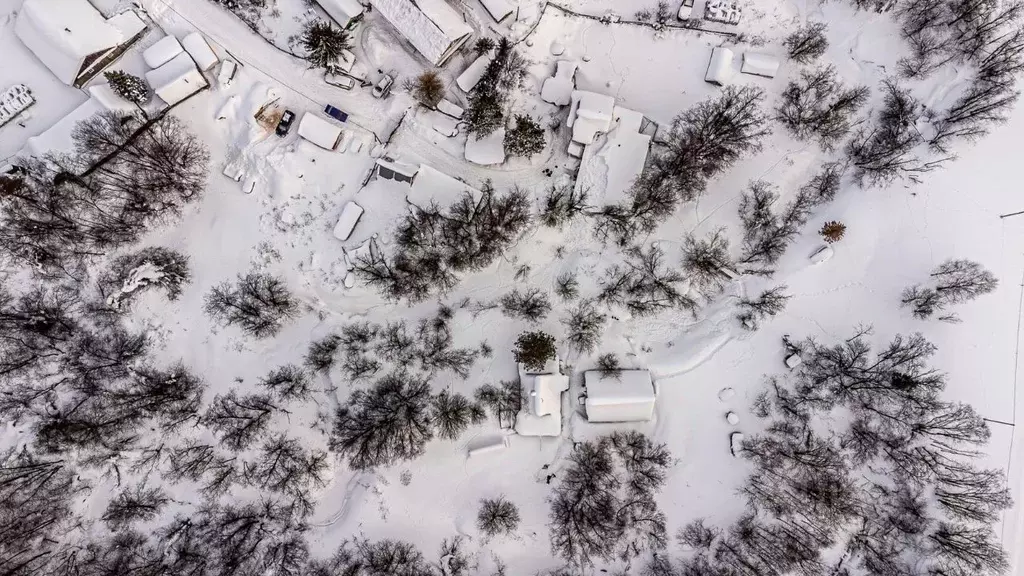 Участок в Пермский край, Пермский муниципальный округ, д. Тишкино ул. ... - Фото 1