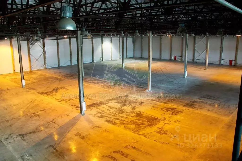 Склад в Новосибирская область, Обь тракт Омский, 6 (3100 м) - Фото 1