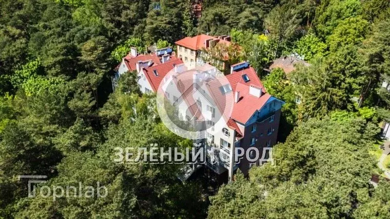 Помещение свободного назначения в Калининградская область, Светлогорск ... - Фото 1